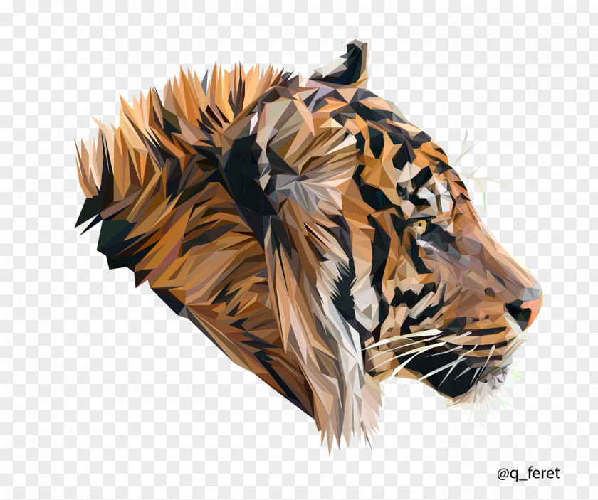 Lion Low Poly Tiger Cat Roar PNG