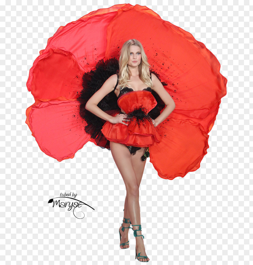 Model 2012 Victoria's Secret Fashion Show PNG