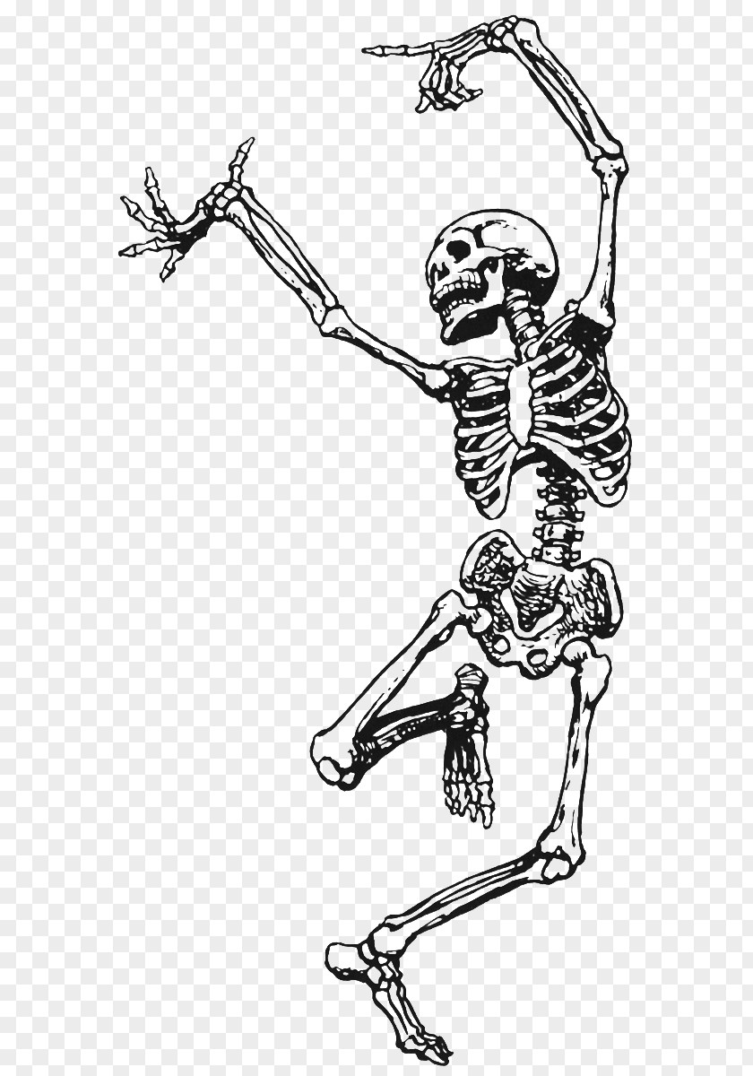 Skeleton Death Dance Art Drawing PNG