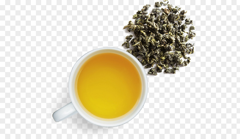 Tea Hōjicha Oolong Nilgiri Pouchong PNG