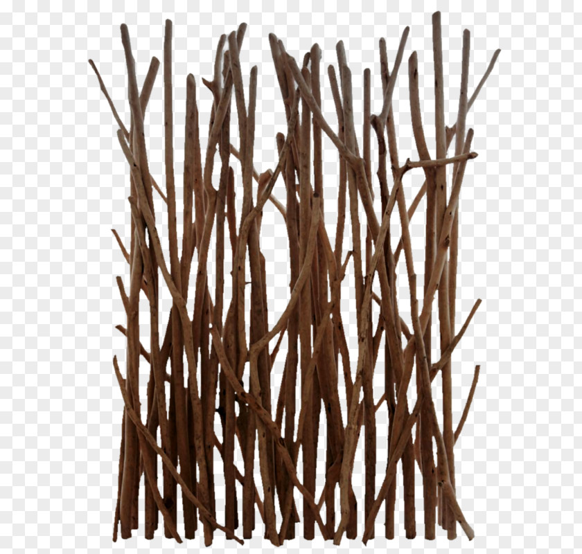 Wood Driftwood Folding Screen Branch Tree PNG
