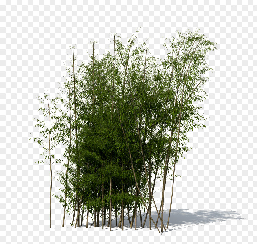 Bamboo File 3D Modeling Computer Graphics Wavefront .obj TurboSquid PNG