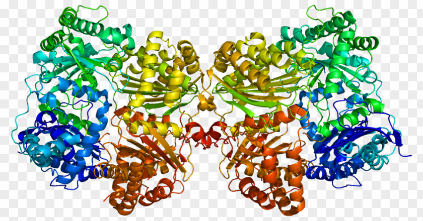 Enzyme Insignia Protein RNA Biology Biochemistry PNG