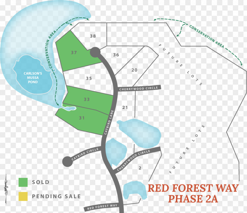 Forest Road Red Way Business PNG