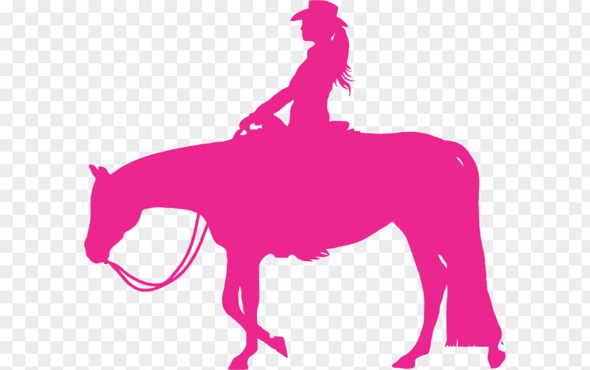 Pleasure Horse Cliparts Equestrianism Western Hunt Seat Clip Art PNG