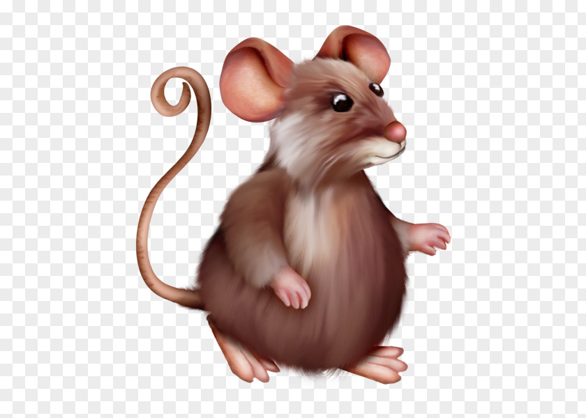 Rat Laboratory Mus Rodent Mickey Mouse PNG