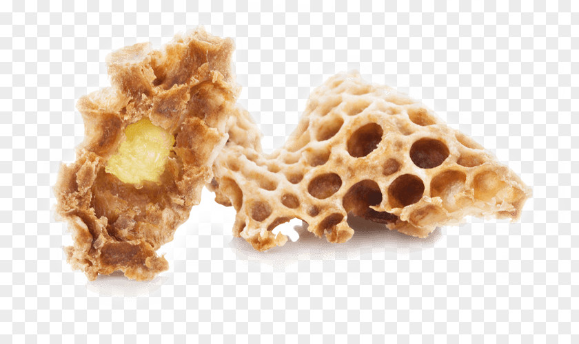 Bee Beehive Royal Jelly Koningin Pollen PNG