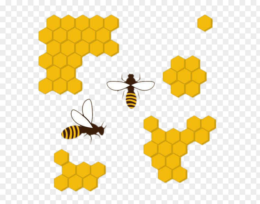 Cartoon Bee Beehive Honeycomb Apis Florea PNG