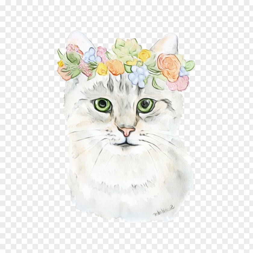 Cat White Small To Medium-sized Cats Whiskers Watercolor Paint PNG