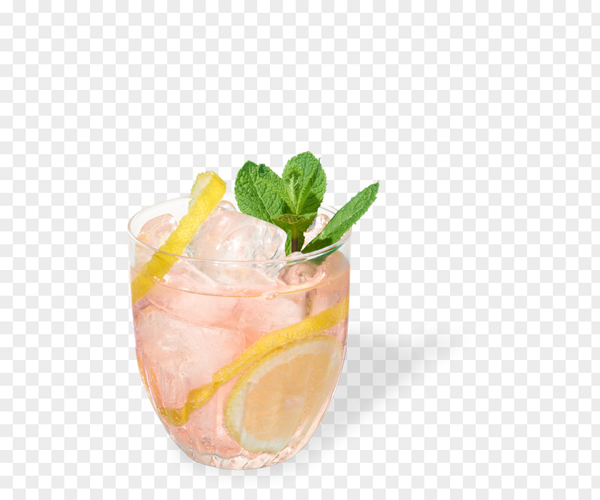 Cocktail Garnish Gin And Tonic Sea Breeze Mai Tai PNG