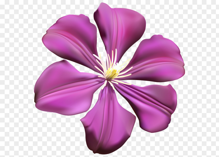 Flower Purple Violet Clip Art PNG