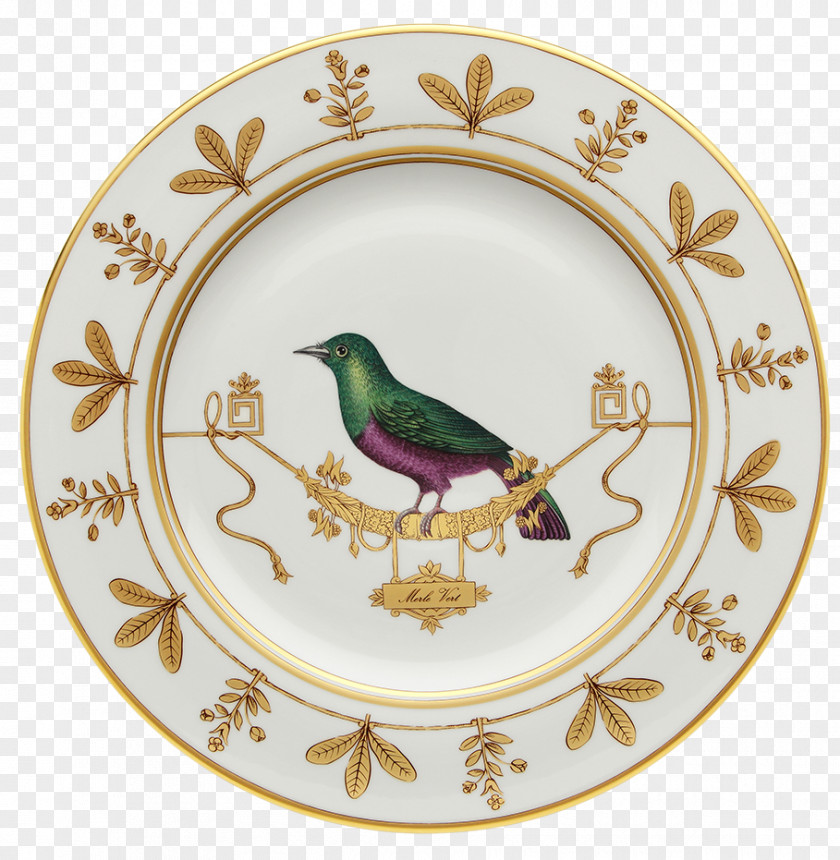 Hand-painted Bird Doccia Porcelain Museo Richard-Ginori Della Manifattura Di Florence Plate PNG