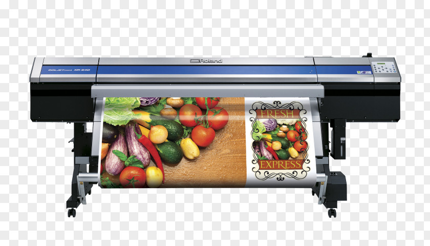 Printer Printing Wide-format Roland DG Corporation PNG