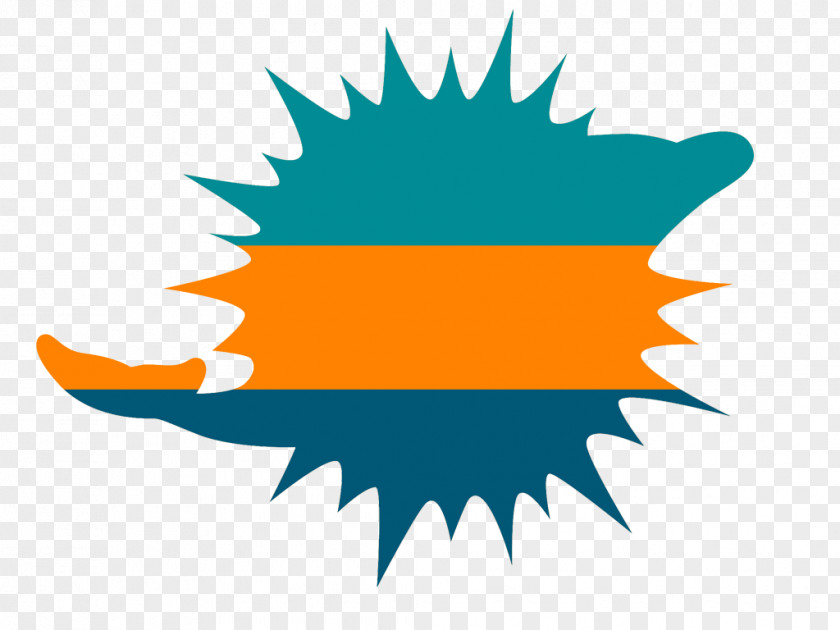 Dolphin Show Miami Dolphins Green Bay Packers Mirror Laser PNG