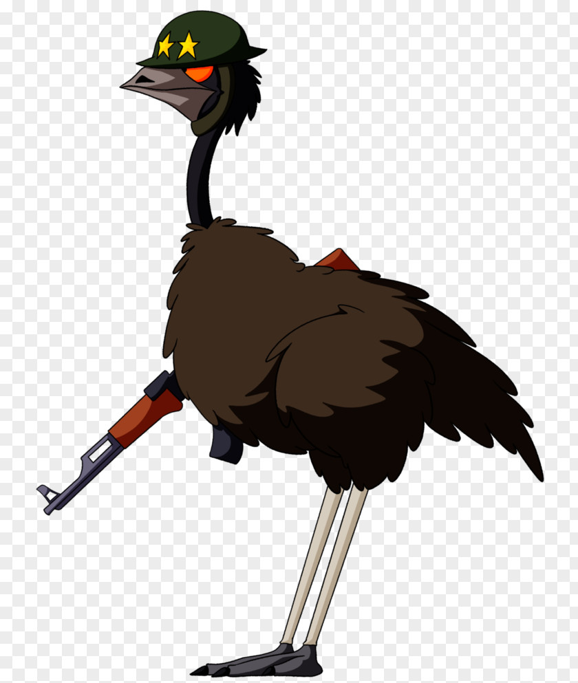 Emu Bird Common Ostrich Clip Art Fauna Feather Beak PNG