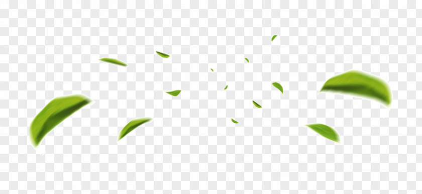 Green Foliage Leaf Desktop Wallpaper Tmall Plants PNG