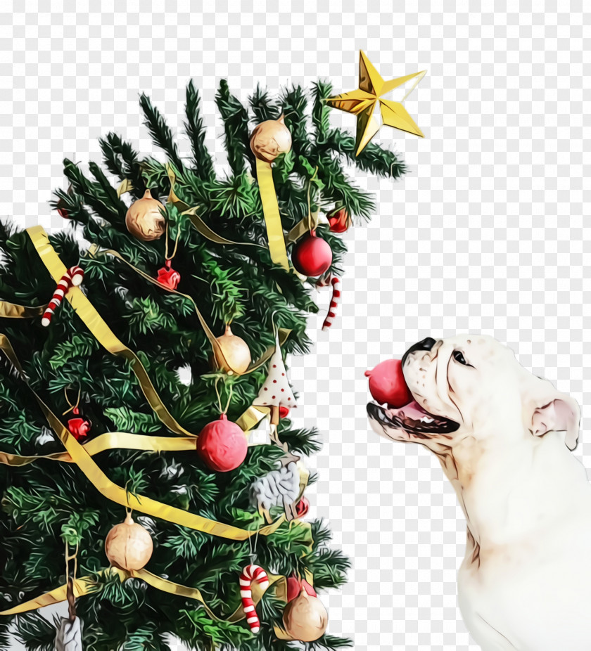Labrador Retriever Spruce Christmas Tree Drawing PNG