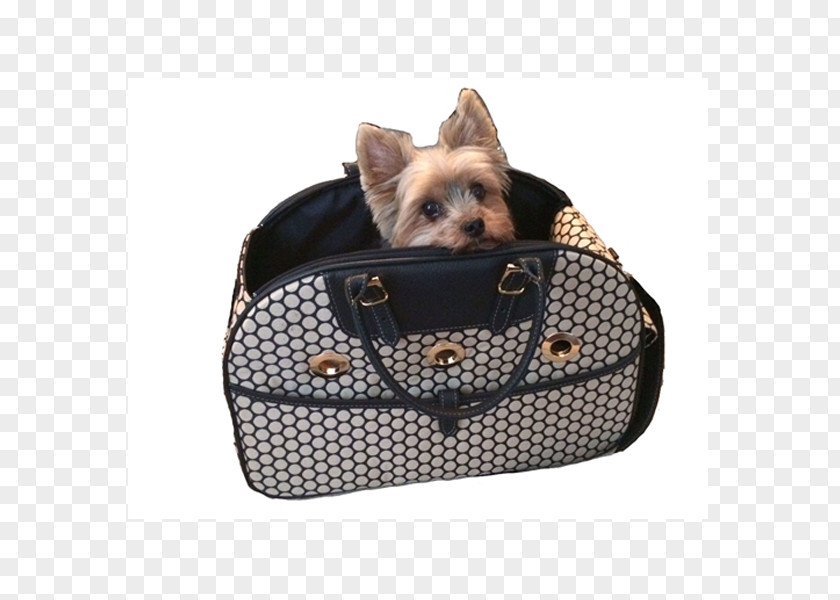 Pet Carrier Bag Dog Breed Yorkshire Terrier Leather Leash PNG