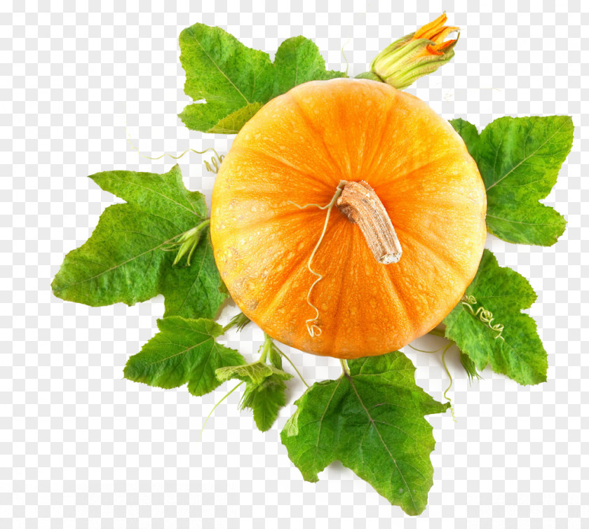 Pumpkin Top View Food Stock Photography Royalty-free PNG