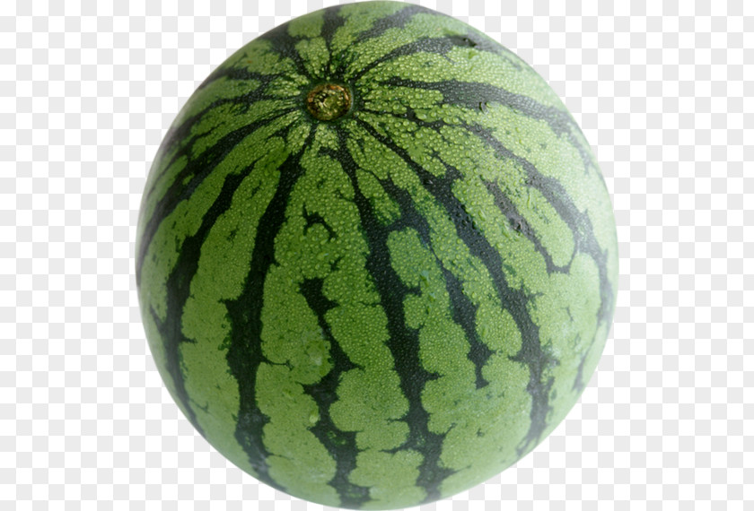 Watermelon Fruit Muskmelon Cucurbita Pepo Var. Giromontiina PNG