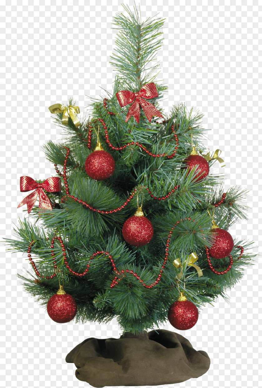 Christmas Tree YouTube Actor Photography Art PNG