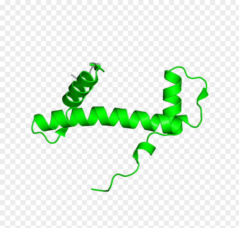 Design Line Clip Art PNG