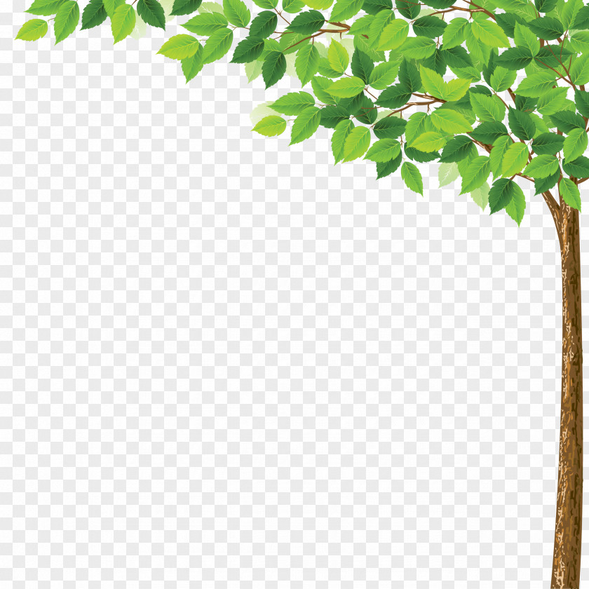 Natural Environment Tree Desktop Wallpaper Clip Art PNG