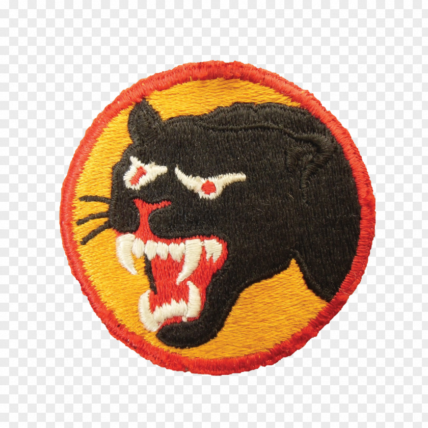 Army 66th Infantry Division Second World War 91st PNG