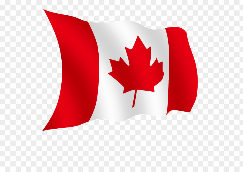 Canada Australia United States Of America Law Organization PNG