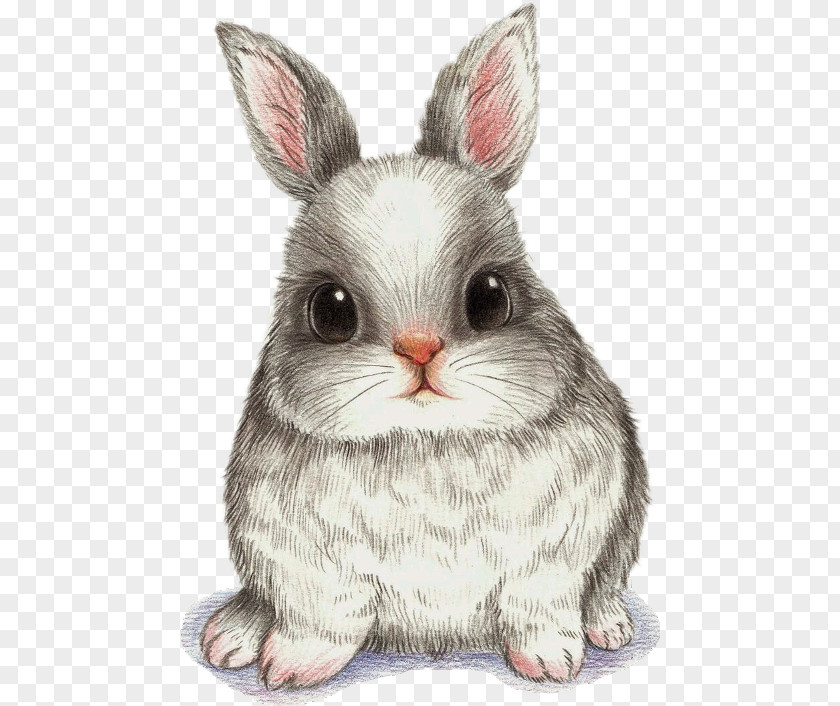 Cute Bunny Drawing Sketch Watercolor Painting Art Image PNG