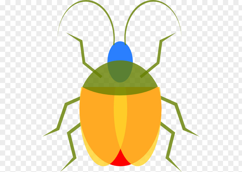 Free Insect Photos Content Clip Art PNG
