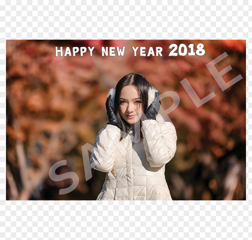 New Dimensions Post Cards Year Wish Postcard News PNG