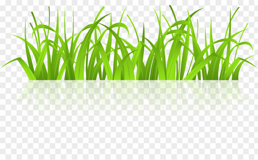 Vector Fresh Green Grass Free Content Clip Art PNG