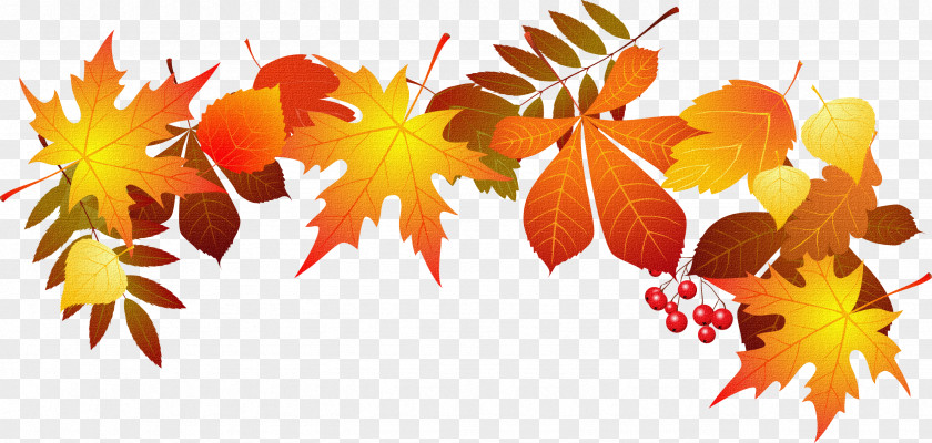 Autumn Leaves Leaf Color Clip Art PNG