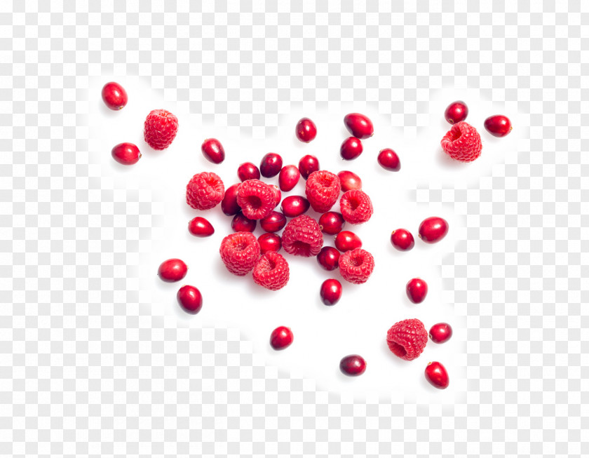Blueberry Cranberry Lingonberry Accessory Fruit Food PNG