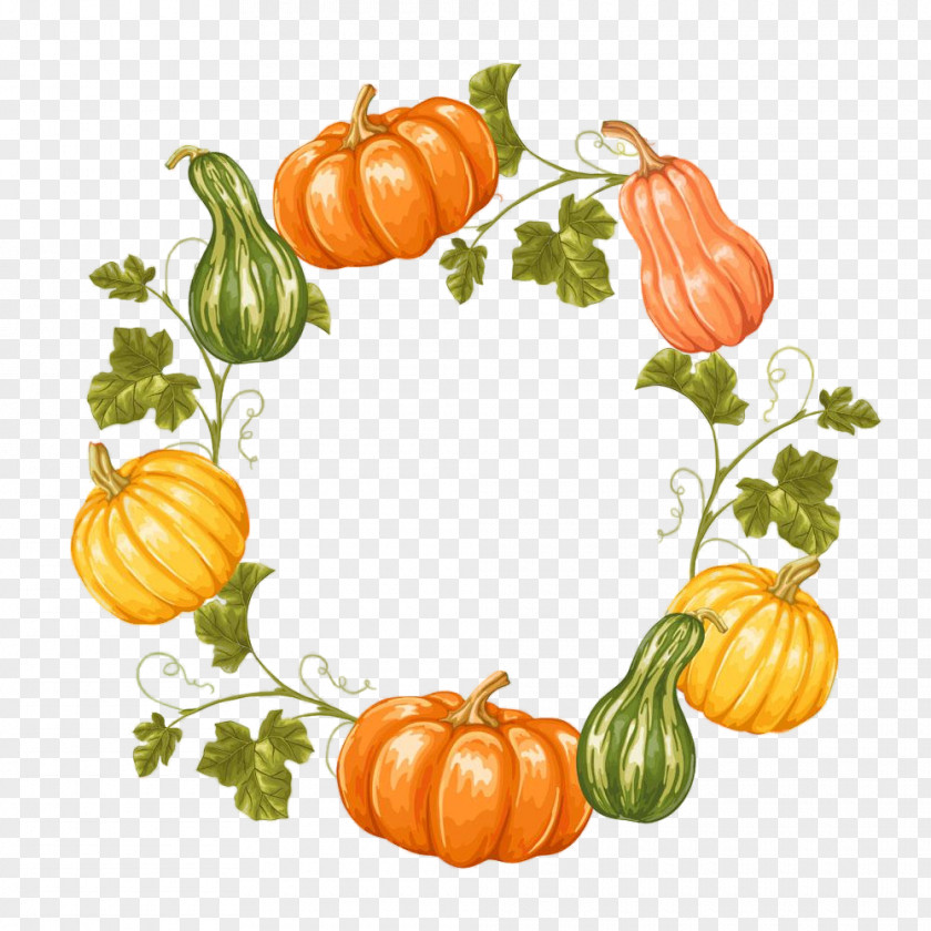 Cucurbita Calabaza Pumpkin PNG