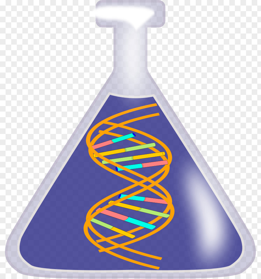 French Poodle Clipart DNA Nucleic Acid Double Helix Free Content Clip Art PNG