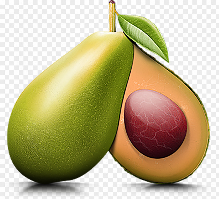 Hand-painted Avocado Auglis Green PNG