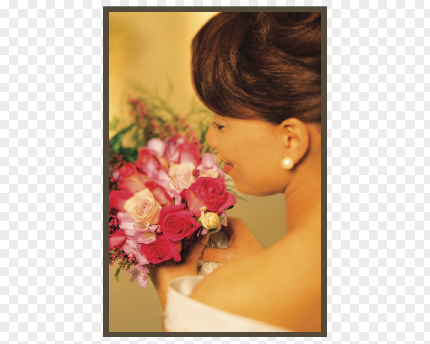 Wedding Style Beauty Parlour Salon Hair Network Party PNG