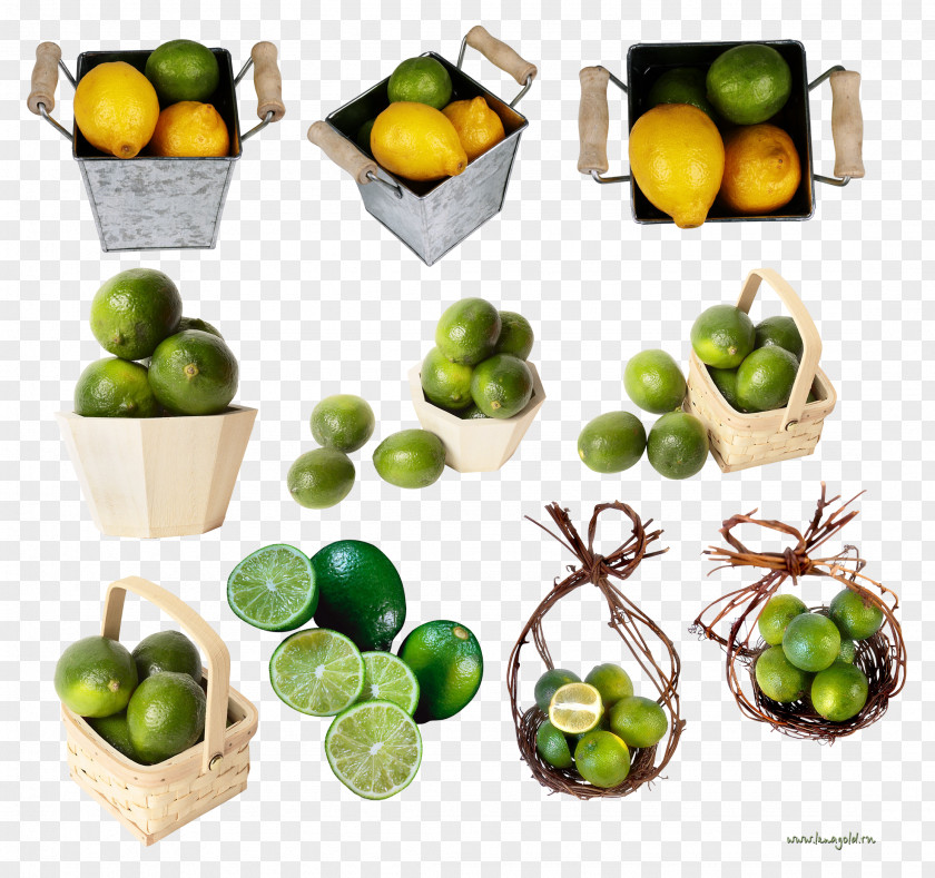 Bucket Key Lime Tableware Clip Art PNG