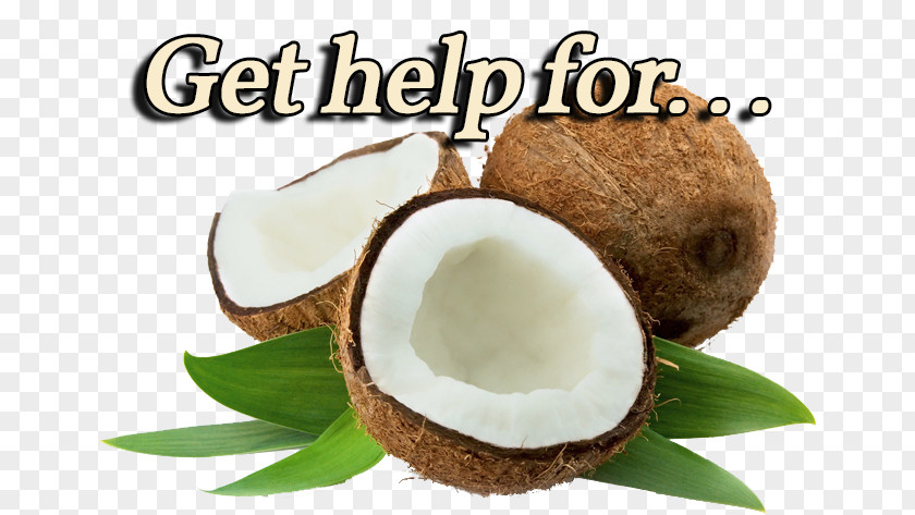 Dried Coconut Water Milk Candy Oil PNG