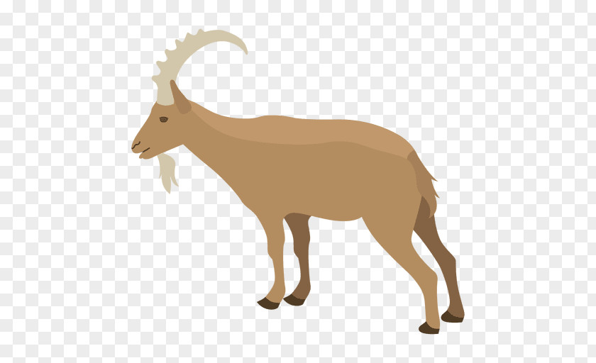 Goat Ahuntz Antelope PNG