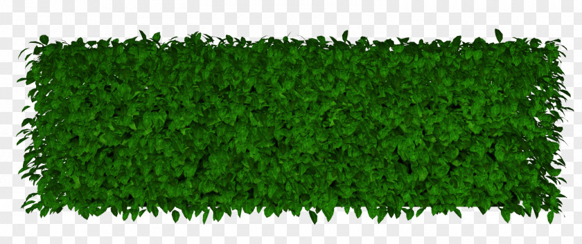 Grass Altar Download Rectangle Icon PNG