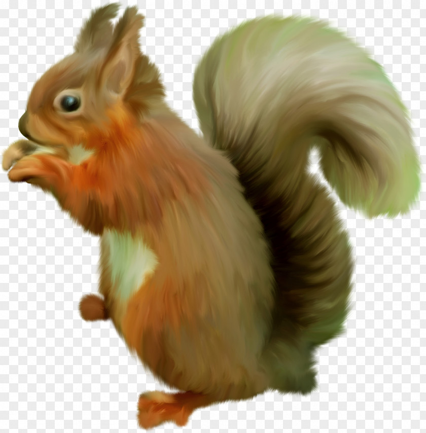 Rodent Chipmunk Clip Art Scrat PNG