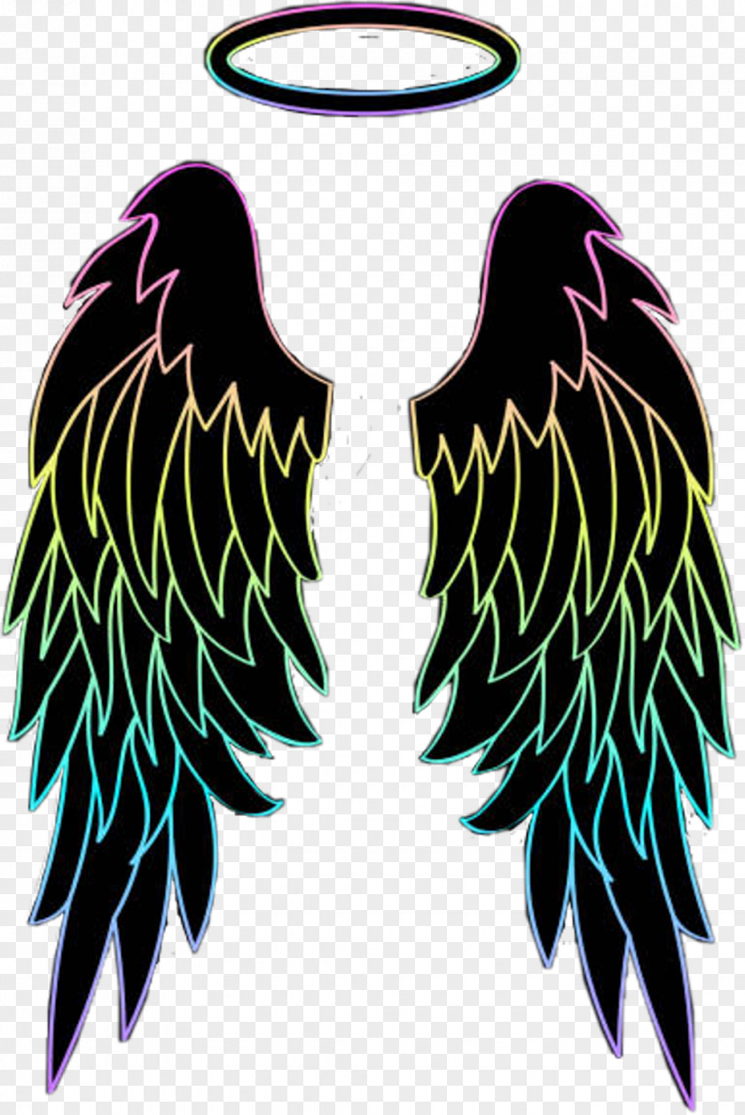 Angel Wings Clipart Devil Image PicsArt Photo Studio Rainbow PNG