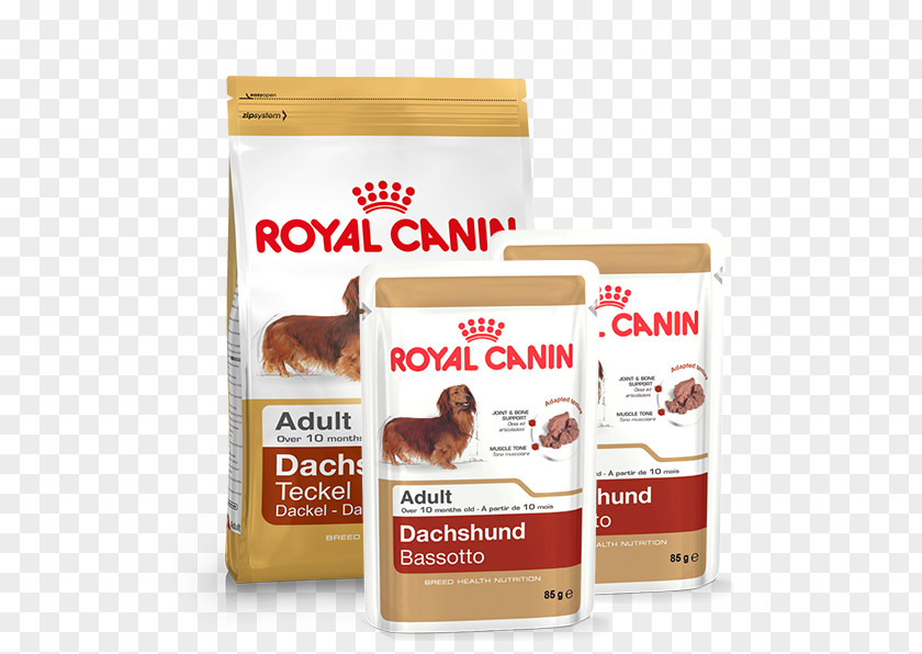 Cat English Cocker Spaniel Labrador Retriever Dog Food Royal Canin PNG
