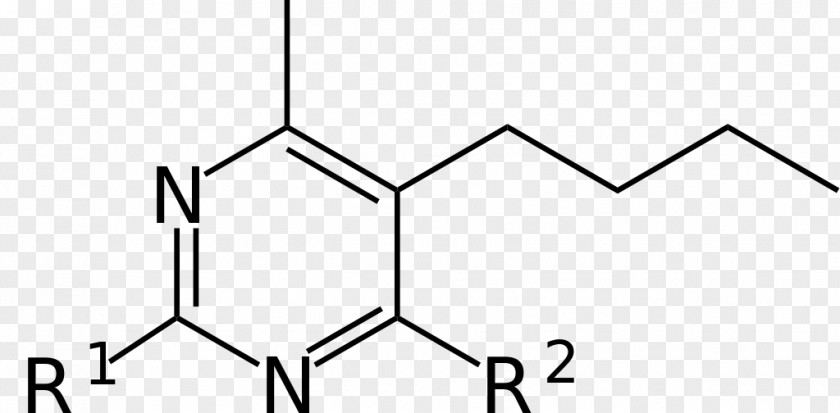 Fungi Phenyl Group Chemical Compound Isotope Substituent Molecule PNG