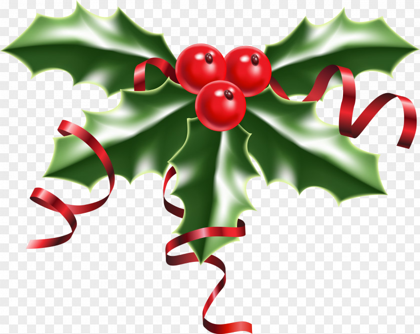 Holly Common Christmas Clip Art PNG