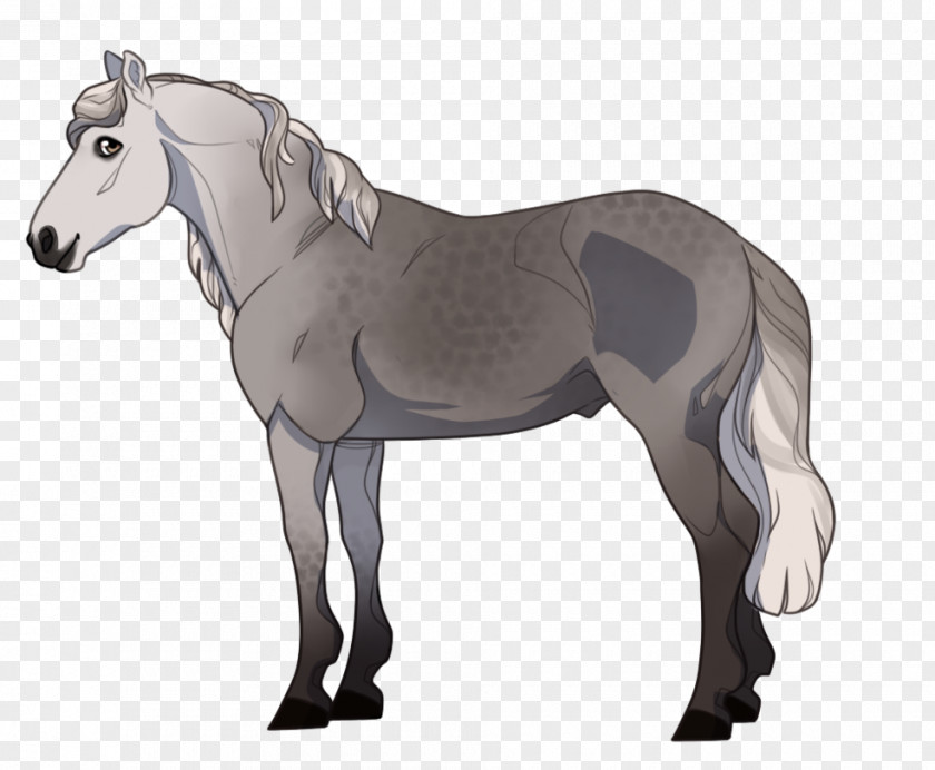 Irregular Background Shading Mule Foal Stallion Mare Halter PNG