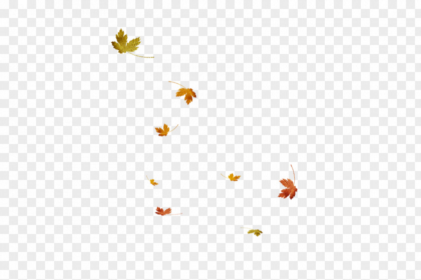Leaf Download Clip Art PNG